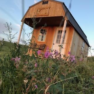 Montana Old West Cabins Guest House Babb Екстериор снимка