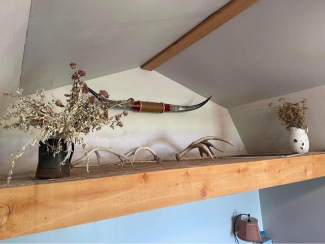 Montana Old West Cabins Guest House Babb Екстериор снимка